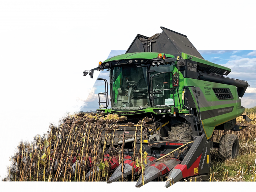 Sonnenbl.-Testbild-3