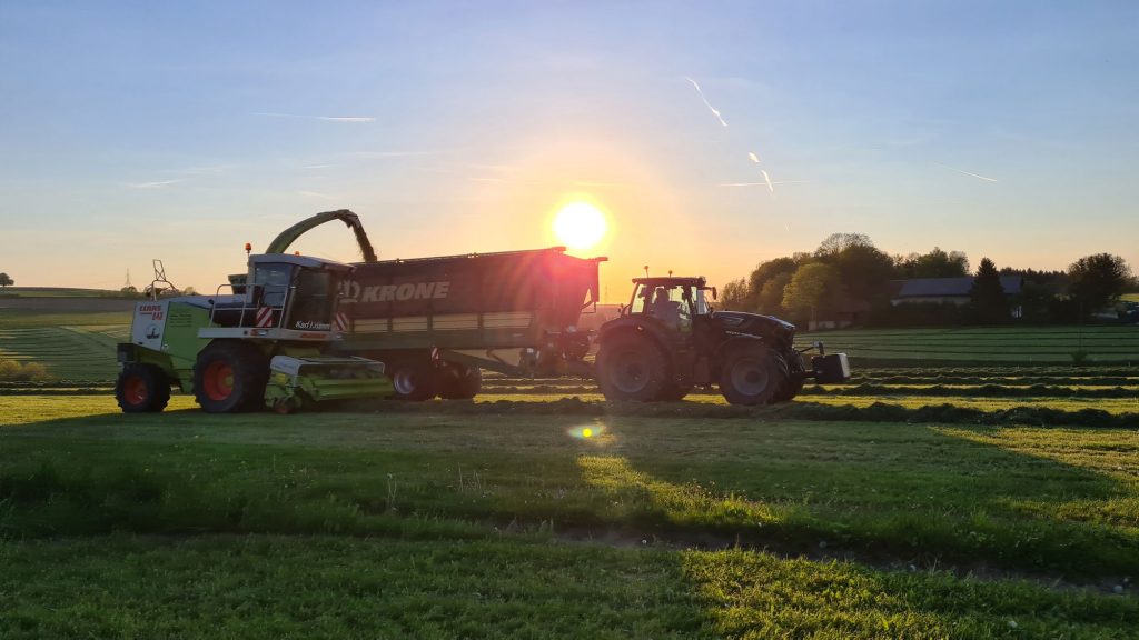 Mietpark-klien-unten